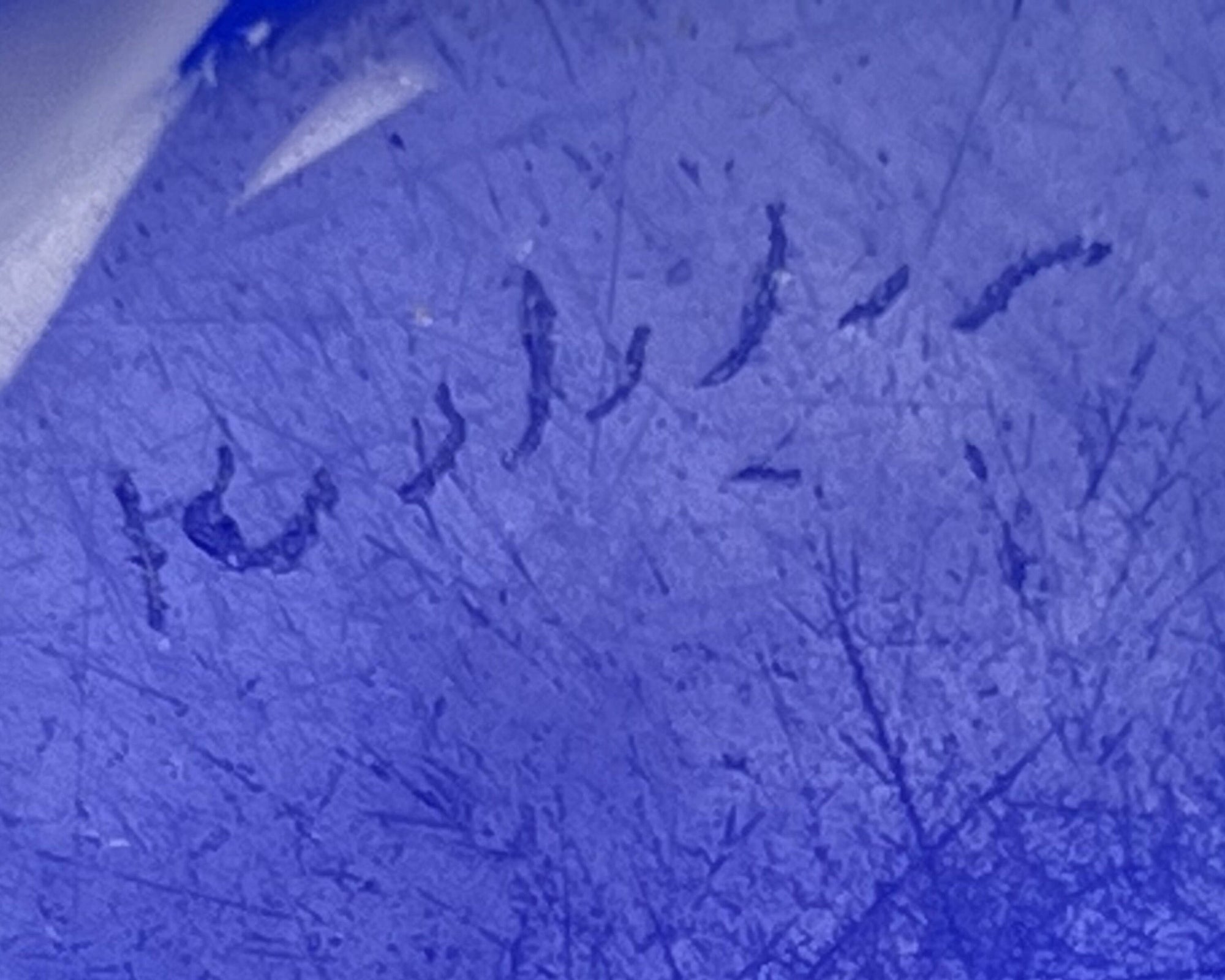 Rare Vintage 1950s Flygsfors Glass Bowl Paul Kedelv Signed 1954 - Poppy's Vintage Clothing