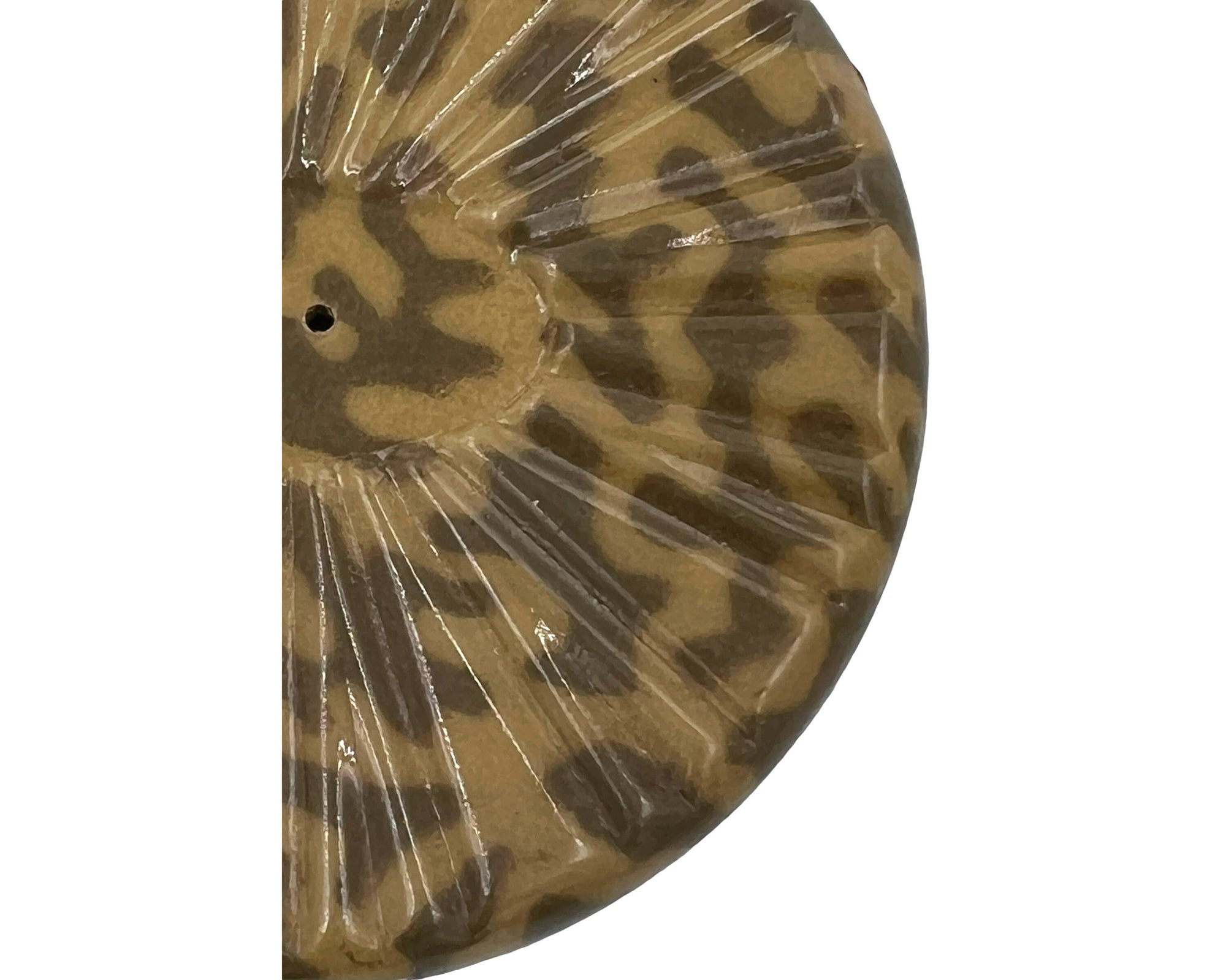 Huge 1920s Button Mottled Mottled Celluloid 2 7/8 Diameter - Poppy's Vintage Clothing