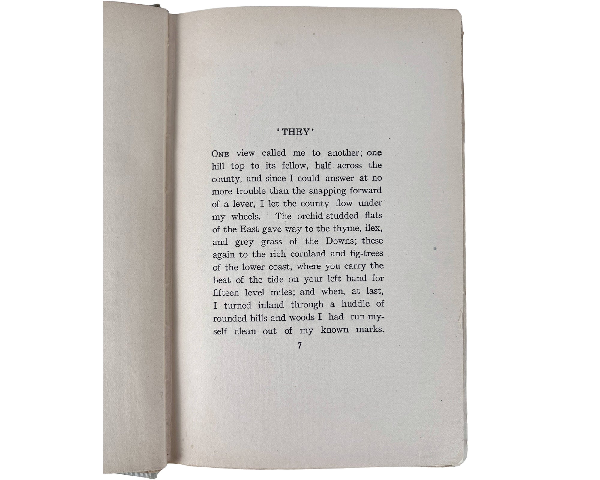 1st US Edition Book They by Rudyard Kipling 1906 Doubleday Page & Co - Poppy's Vintage Clothing