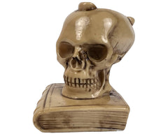 Vintage 1960s Italian Skull Ashtray Cast Ebonite Made in Italy - Poppy's Vintage Clothing