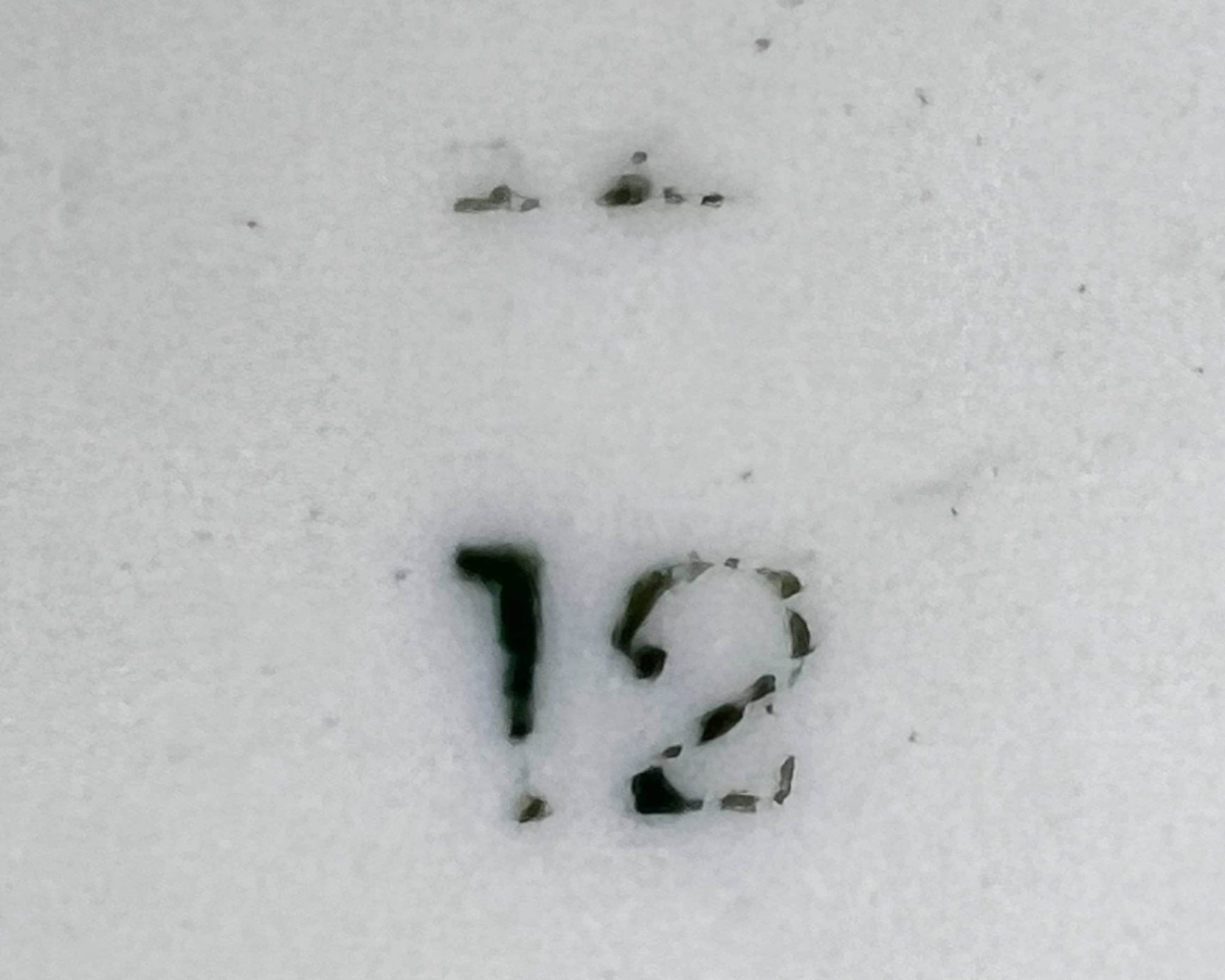 Antique Flow Blue Soup Bowl New Wharf Portsmouth Pattern Art Nouveau 1891 - Poppy's Vintage Clothing