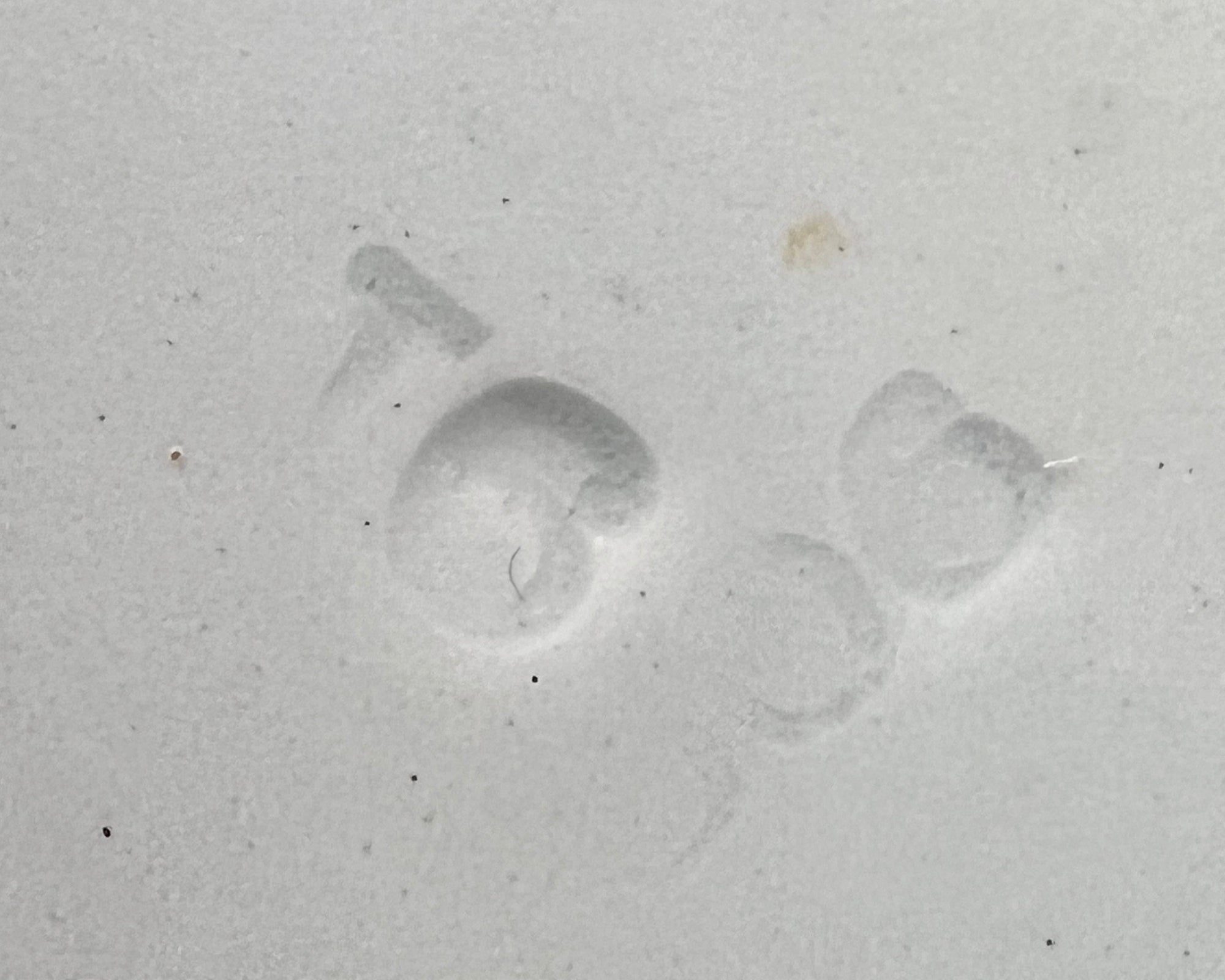 Antique Flow Blue Soup Bowl New Wharf Portsmouth Pattern Art Nouveau 1891 - Poppy's Vintage Clothing