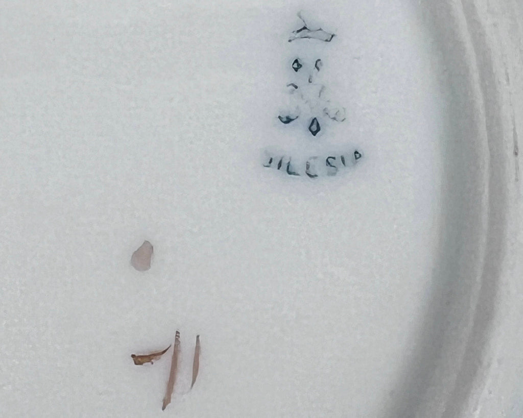 Antique Porcelain Cup & Saucer Hermann Ohme Silesia Roses Pattern - Poppy's Vintage Clothing