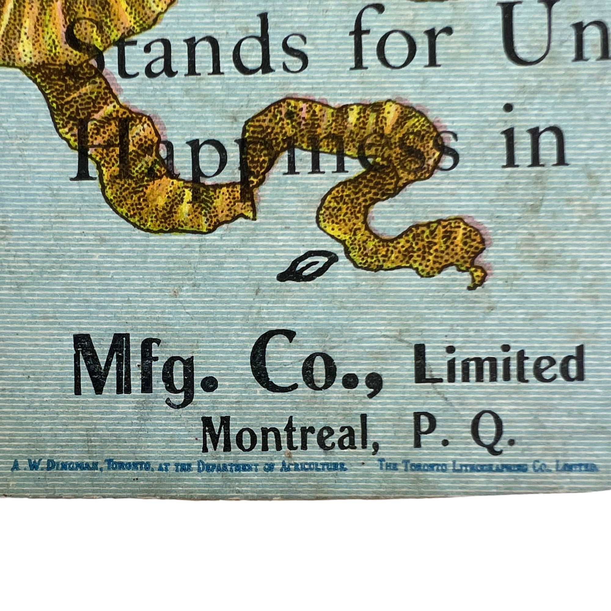 Antique Sewing Machine Advertising Fan Ad New Williams 1901 Montreal Advertisement - Poppy's Vintage Clothing