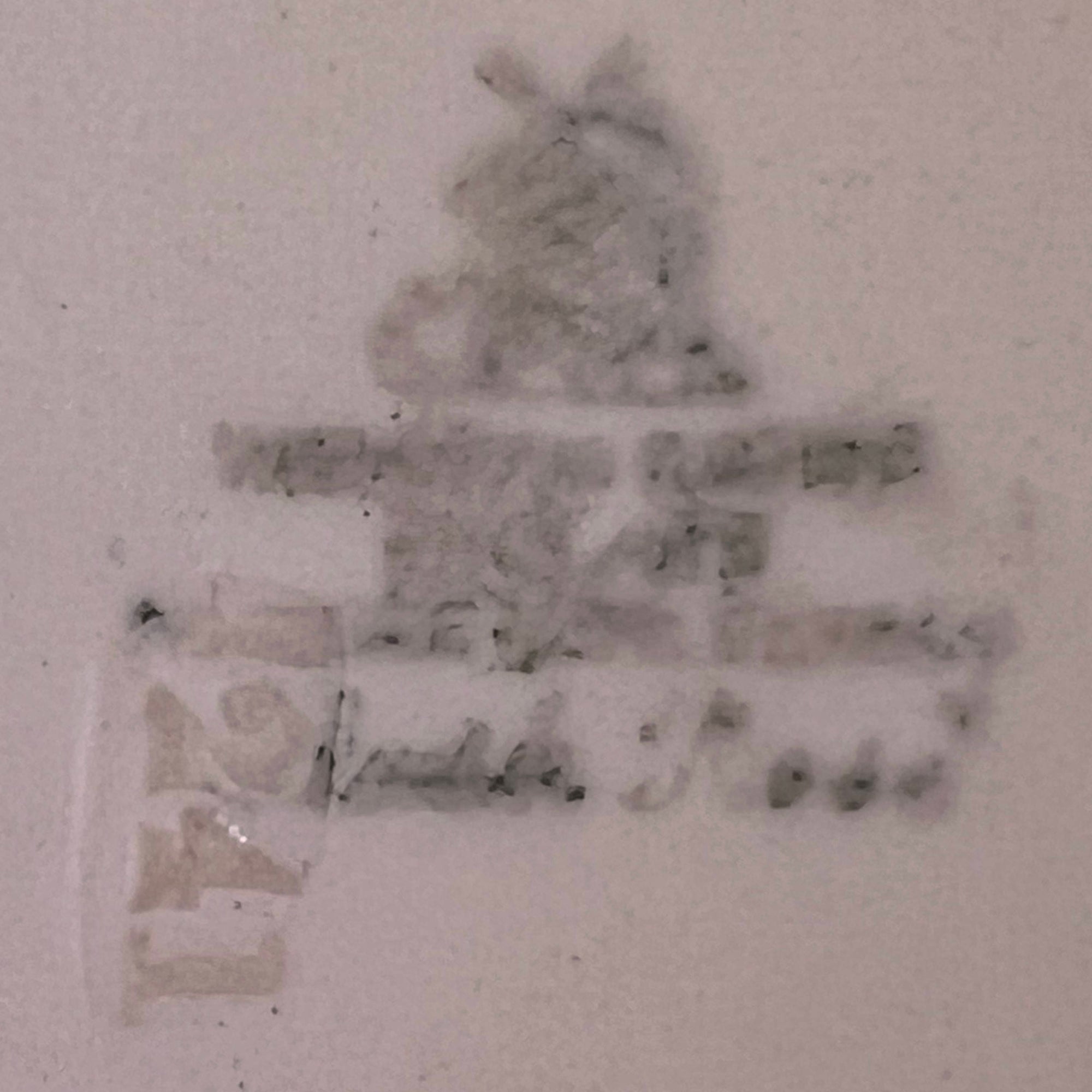 Vintage 1940s Wedgwood & Co Tudor Rose Blush Rose Dinner Plate Wartime Concentration Scheme - Poppy's Vintage Clothing