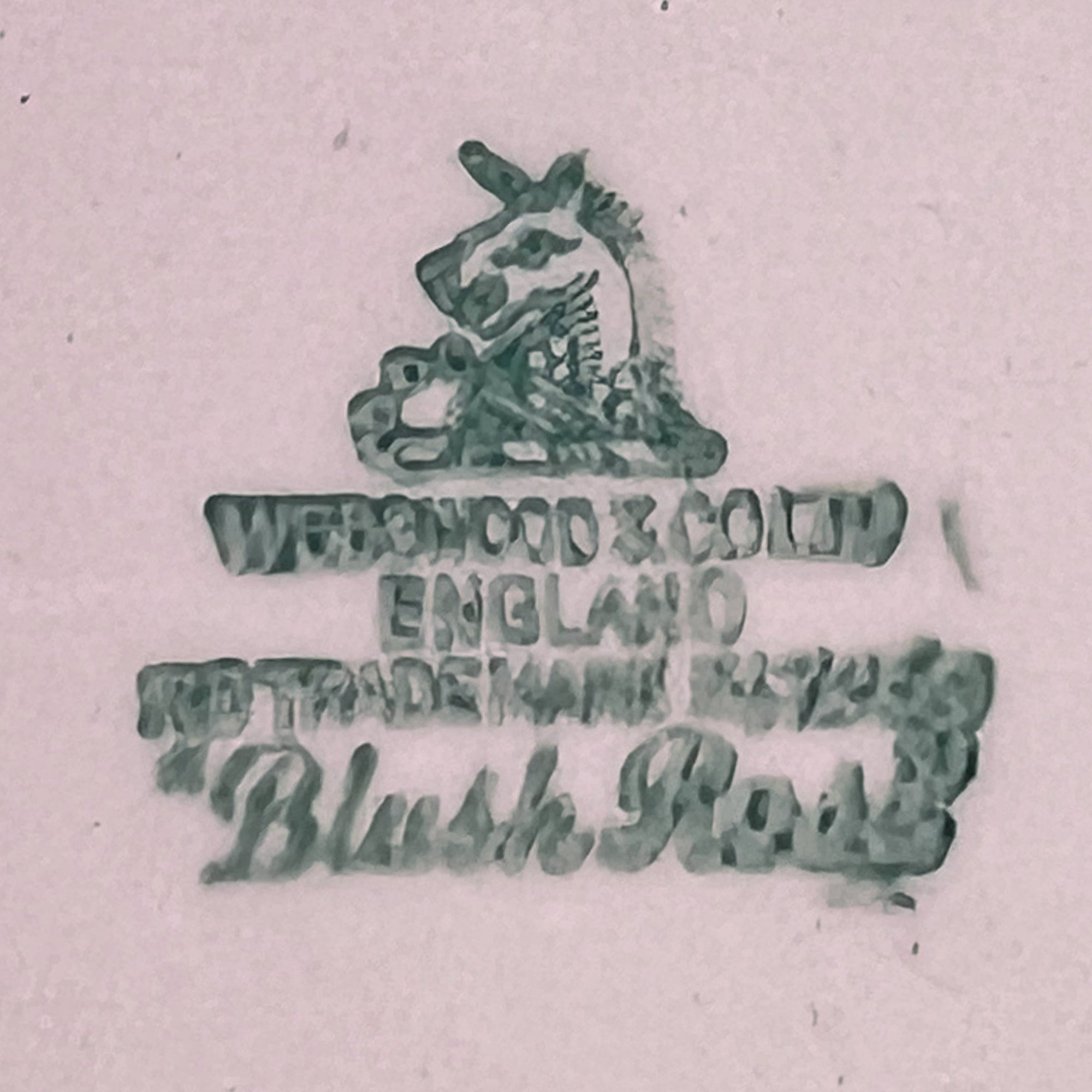 Vintage 1940s Wedgwood & Co Tudor Rose Blush Rose Platter 10.75 Wartime Concentration Scheme - Poppy's Vintage Clothing