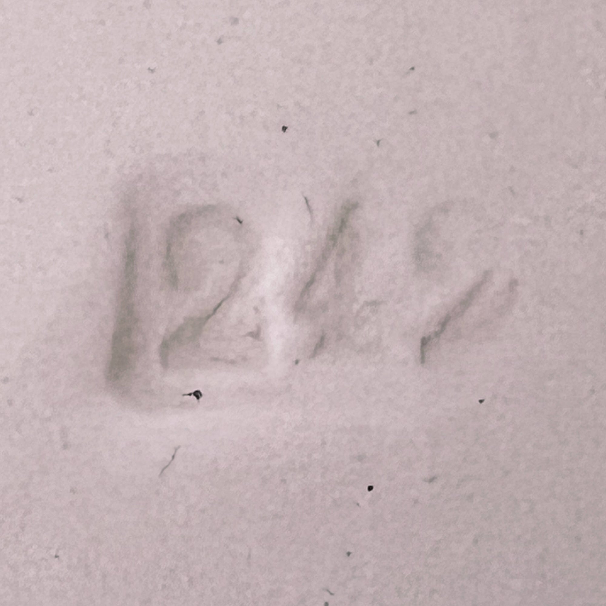 Vintage 1940s Wedgwood & Co Tudor Rose Blush Rose Platter 10.75 Wartime Concentration Scheme - Poppy's Vintage Clothing