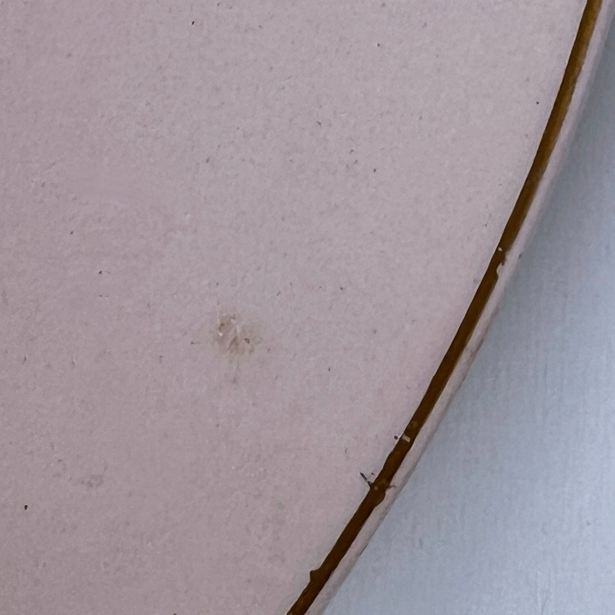 Vintage 1940s Wedgwood & Co Tudor Rose Blush Rose Dinner Plate Wartime Concentration Scheme - Poppy's Vintage Clothing