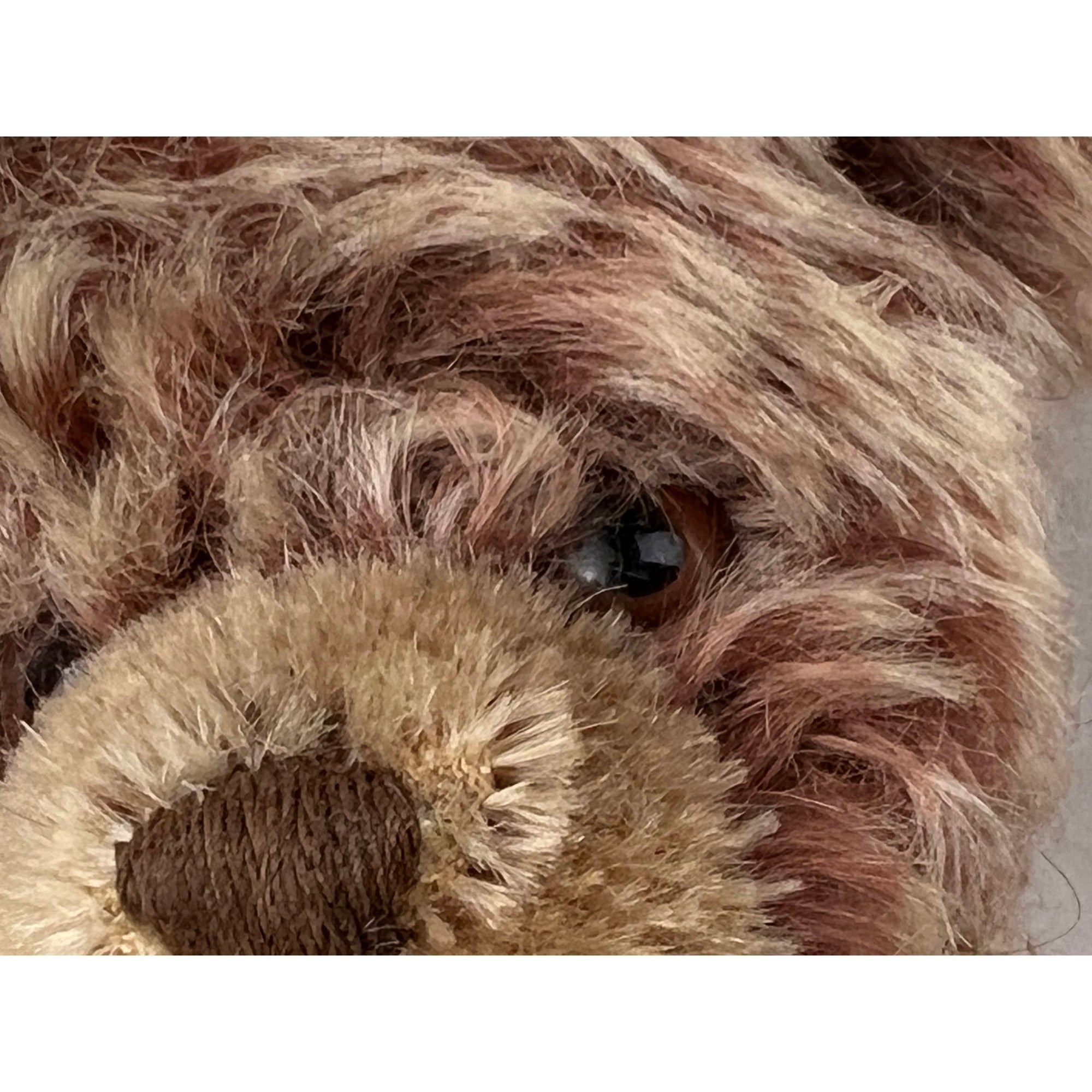Vintage 1950s 60s Steiff Zotty Teddy Bear Stuffed Toy 8 - Poppy's Vintage Clothing