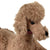 Vintage 1950s 60s Steiff Cosy Snobby Poodle Dog w Button 24 cm - Poppy's Vintage Clothing