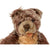 Vintage 1950s 60s Steiff Zotty Teddy Bear Stuffed Toy 8 - Poppy's Vintage Clothing