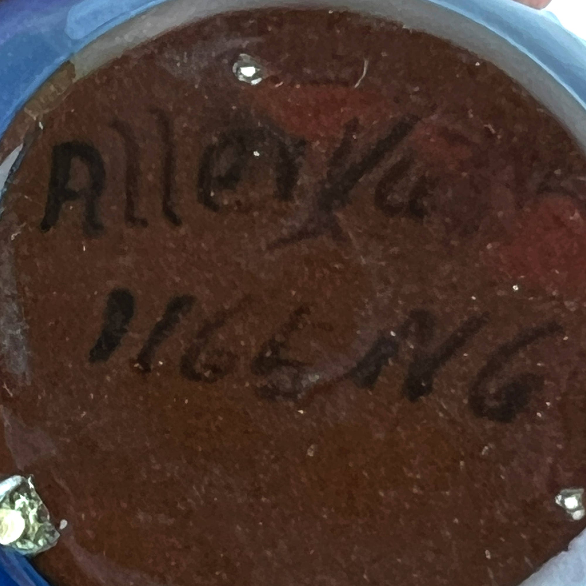 Antique Aller Vale Torquay Pottery Miniature Jug Ladybird Pattern - Poppy's Vintage Clothing