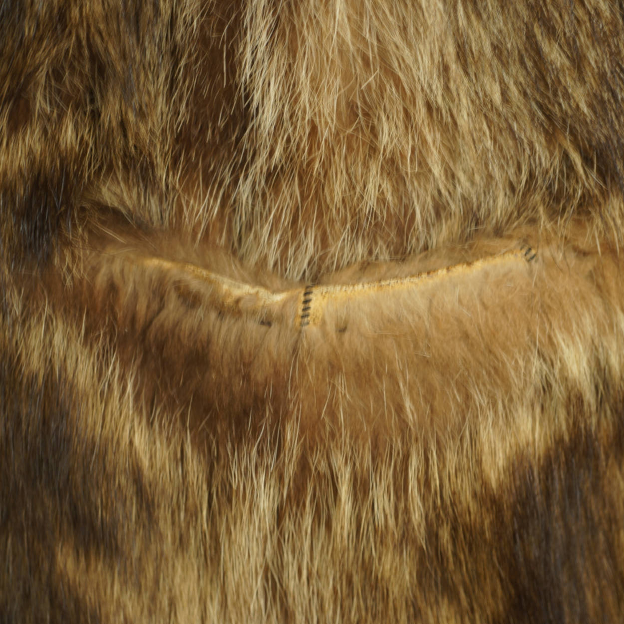 Vintage 1920s Mens Raccoon Fur Coat Ivy League Football Fan Size L - Poppy's Vintage Clothing