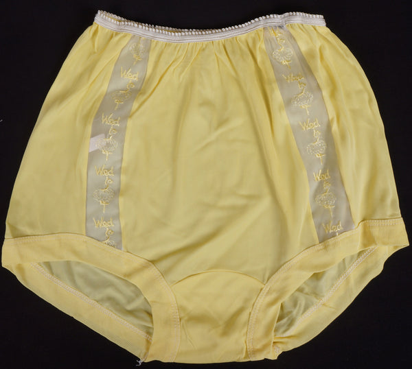 1950s Peach Nylon Panties, Nana Pants, by Prestige - M – Louisa Amelia Jane  Vintage