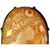 Vintage Carved Shell Cameo Pendant Brooch Roman Goddess Diana 800 Silver - Poppy's Vintage Clothing