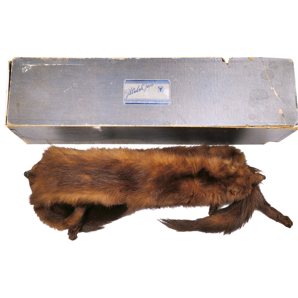 Vintage 1930s Mink Fur Stole Shoulder Shrug J Walsh Montreal - Poppy's Vintage Clothing