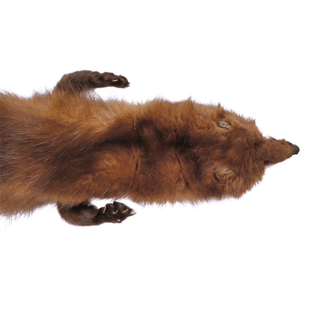 Vintage 1930s Mink Fur Stole Shoulder Shrug J Walsh Montreal - Poppy's Vintage Clothing