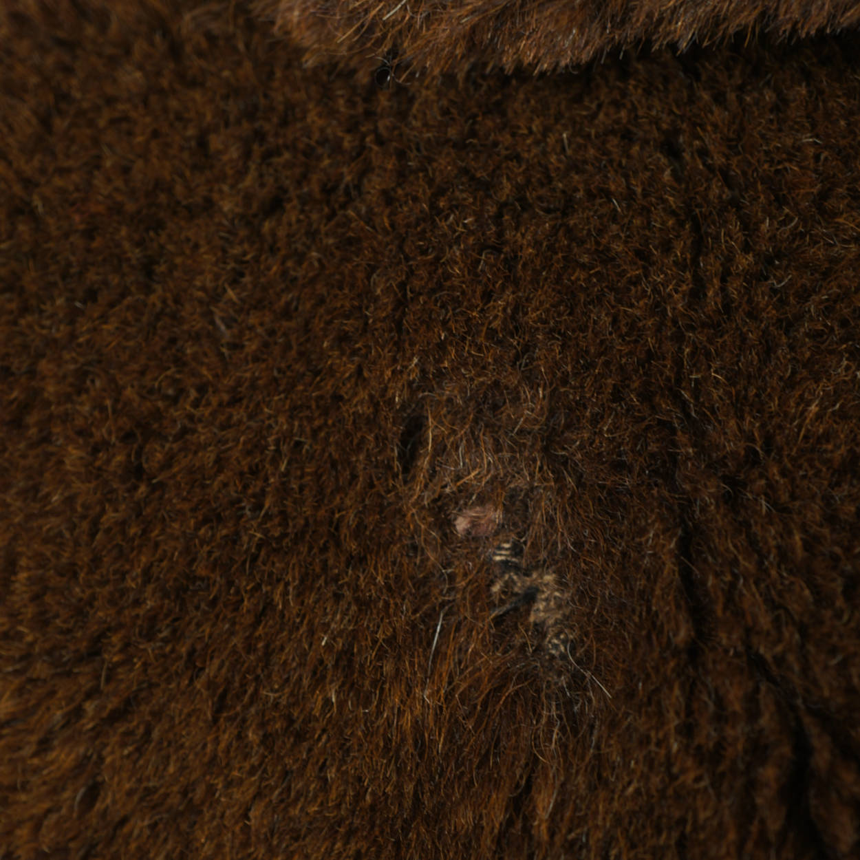 Vintage 1920s Motoluxe Alpaca Teddy Bear Coat Overcoat Sz M - Poppy's Vintage Clothing