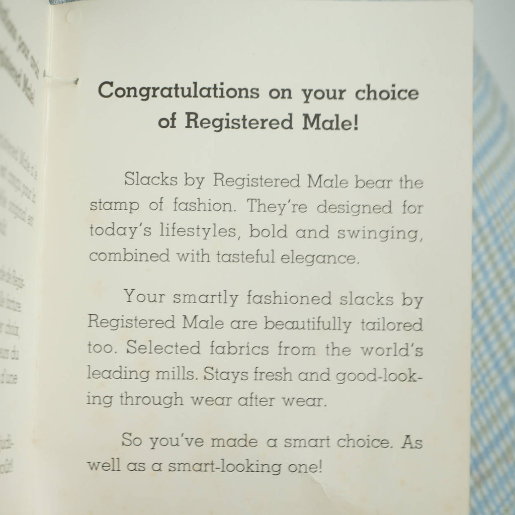 Vintage 1970s Mod Mens Pants NWT Registered Male Polyester Size 38 Waist Unused - Poppy's Vintage Clothing