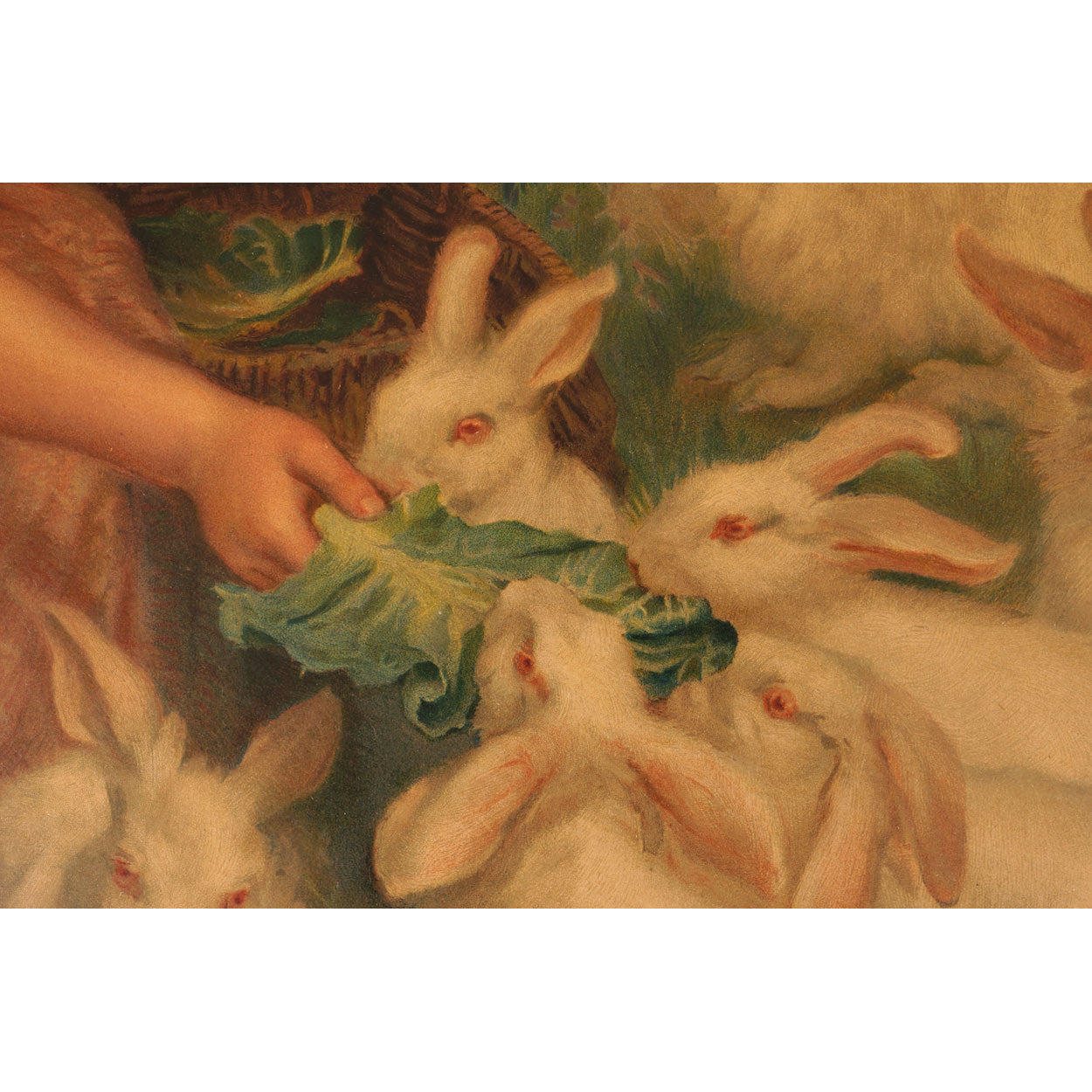 Antique Pears Soap Chromolitho Print Girl Feeding Rabbits 1904 - Poppy's Vintage Clothing