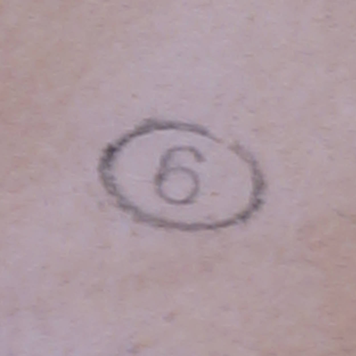 Vintage Kid Leather Gloves Fleshtone Pink Forearm Length Made in Italy Ladies 6 - Poppy's Vintage Clothing