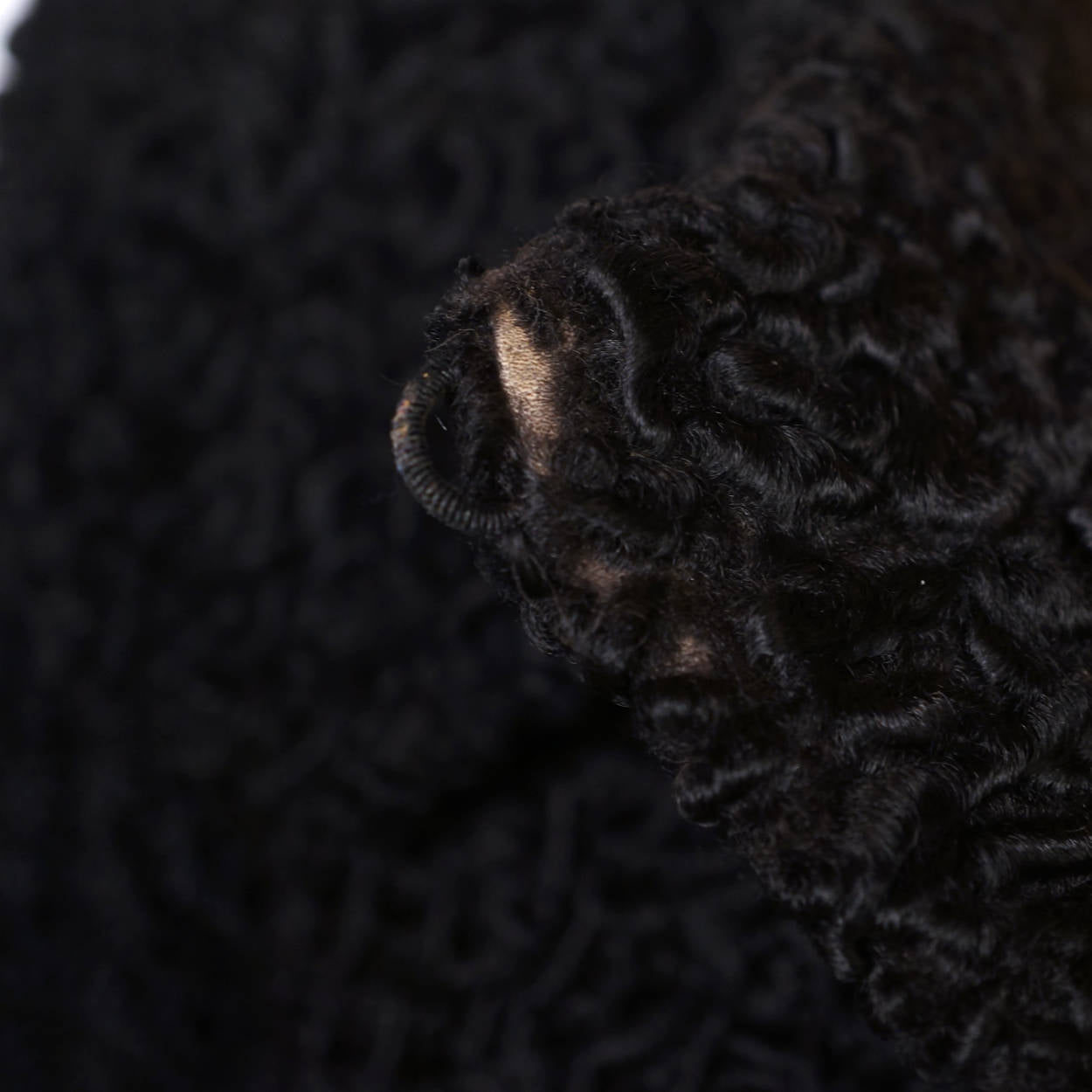 Vintage Schiaparelli Paris Black Curly Lamb Fur Jacket 1950s Glamour - Poppy's Vintage Clothing